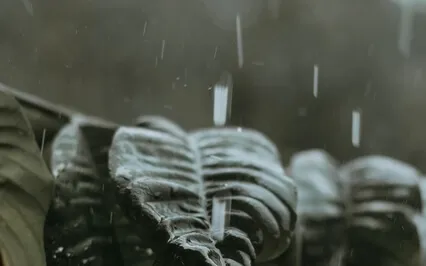 Rain & Wind With Bells & Strings