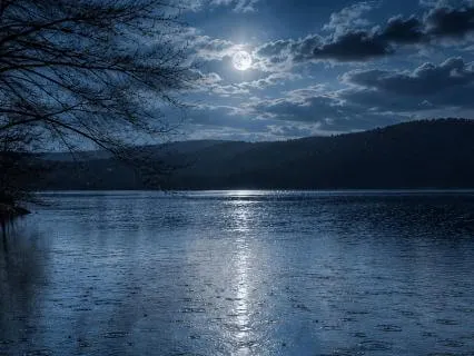 Rain & Birdsong — Binaural Ambient Meditation For Deep Rest