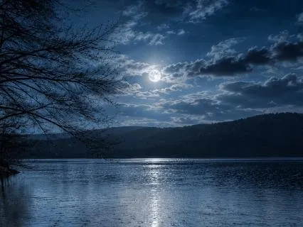 Rain & Birdsong Extended — Binaural Ambient For Deep Sleep