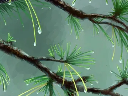 Rain Bowls