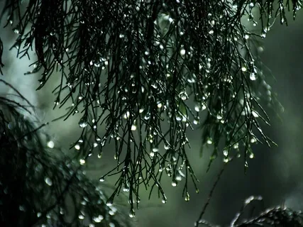 Rain Coming: Thunder & Relaxing Piano Sound Therapy