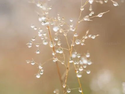 Rain Drop Breathing Exercise