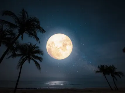 Rain Drops On The Water (Piano With Ocean Waves Sound)