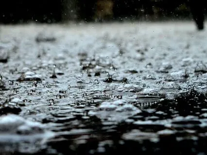 Rain Falling On Umbrella - Calming Nature Sounds