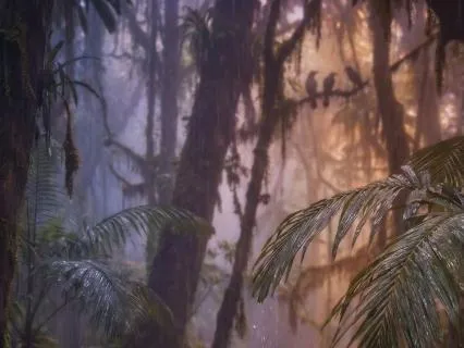 Rain In Jungle For Tropical Sleep