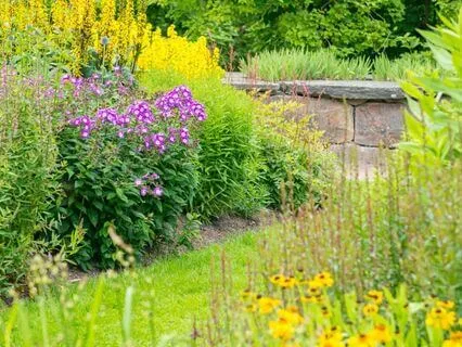 Rain In The Garden Soundscape