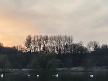 RAIN Meditation - A Journey To Acceptance & Self-Compassion