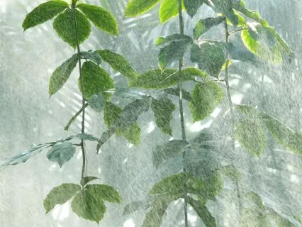 RAIN Meditation: A Practice Of Radical Self-Compassion