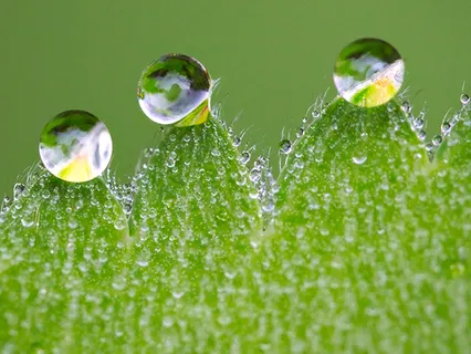 RAIN Practice - Dealing With Challenging Emotions