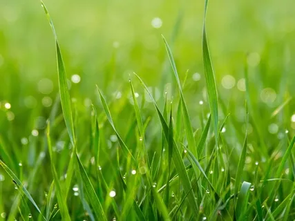 RAIN Meditation For Anxiety