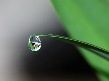 RAIN Meditation For Difficult Emotions Or Feelings