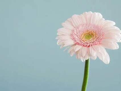 RAIN Meditation For Difficult Situations