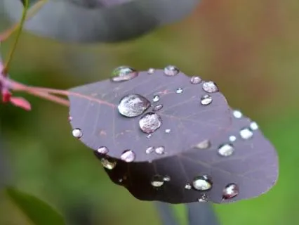 Rain Meditation For Letting Go And Renewal
