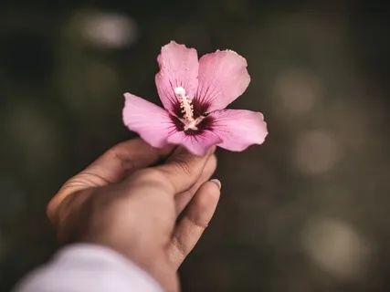 R.A.I.N. For Stress & Anxiety