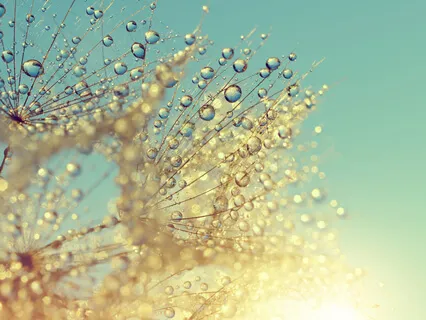 RAIN Meditation - Healing With Gold