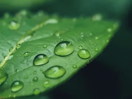 RAIN Meditation To Relieve Overwhelm, Stress & Anxiety