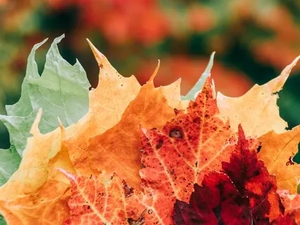 RAIN Method For Dealing With Difficult Thoughts