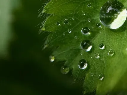 Rain - Nature Sounds To Help You Sleep (120 Minutes)