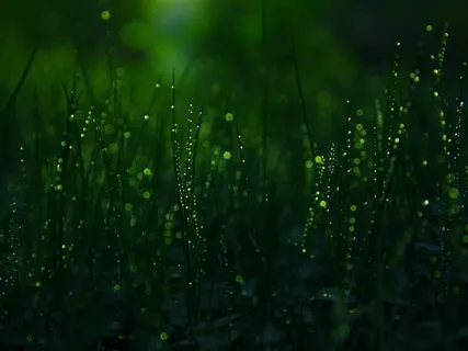 Rain - Nature Sounds To Help You Sleep (40 Minutes)