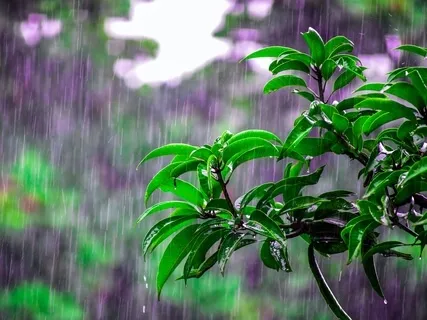 Rain Of Blessings (Voice & Tabla)