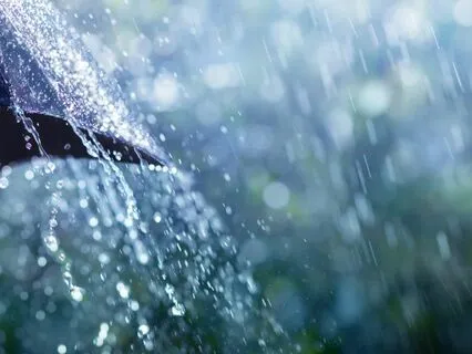 Rain Of Calm: A Soothing Meditation For Relaxation