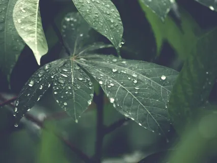 Rain of Peace (Sleep Music + Rain)