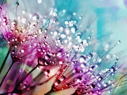 Rain Of Self-Compassion