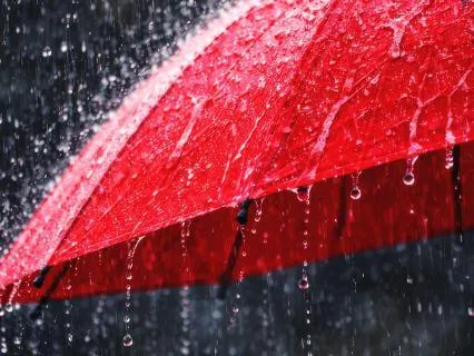 Rain On An Umbrella: Peaceful Rain Sounds For Calm