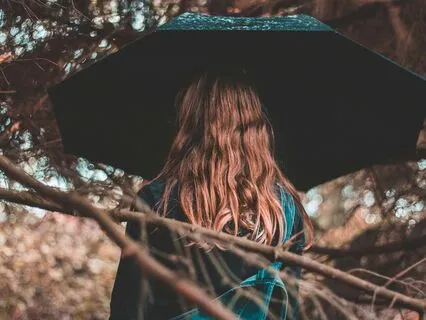 Rain On Leaves: A Natural Soundscape For Sleep And Focus