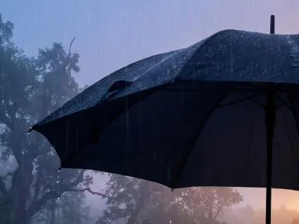 Rain on Umbrella for Sleep and ASMR