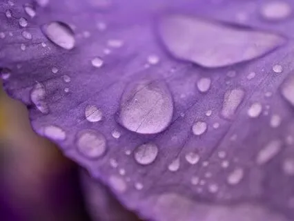 Rain, Rain, Rain – A Quiet Companion For Sleep