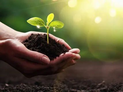 RAIN - Reconhecer, Aceitar, Investigar, Nutrir