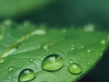 Rain Relaxation Flow