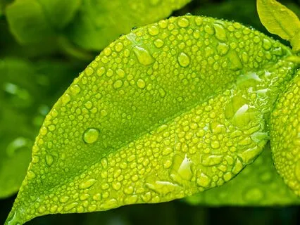 Rain Relaxation Meditation