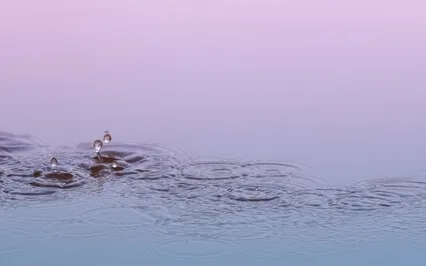 RAIN Self-Compassion In Relationships