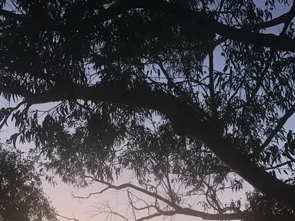 RAIN: Self-Inquiry In Difficult Times