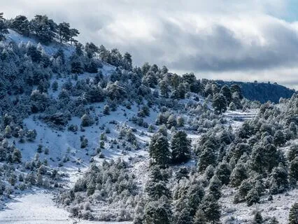 Rain Smooth Snow, Gentle Winter Showers