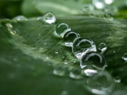 Rain Sound Therapy