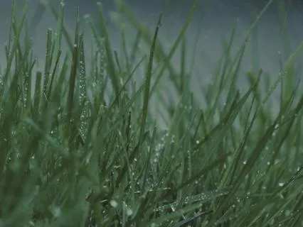 Rain Sounds And Sleep Piano Music