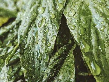 Rain Sounds For Deep Sleep | 8D Audio (432Hz)