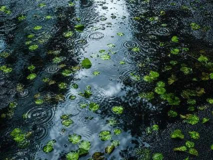 Rain Sounds For Deep Sleep
