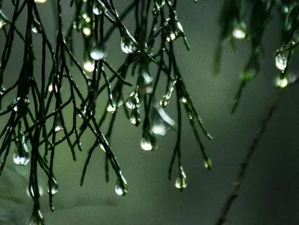 Rain Sounds For Insomnia - Sleep White Noise