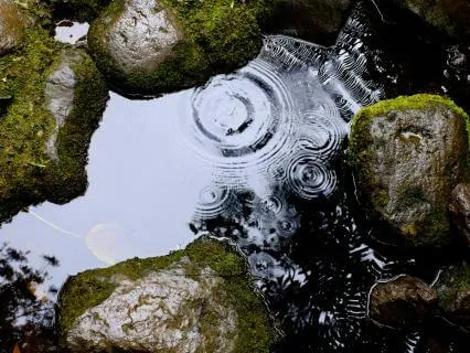 Rain Sounds For Meditation