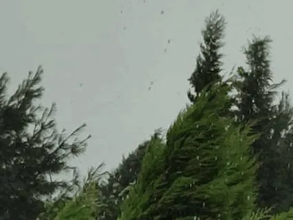 Rain Sounds For Sleep And Stress Relief
