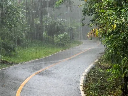 Rain Sounds on the Forest Road for Sleep & Relaxation
