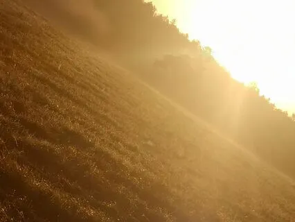 Rain Storm Fall For Sleep