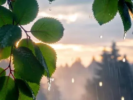 Rain & Storm Soundscape, Delta Waves for Deep Sleep (8 Hrs)