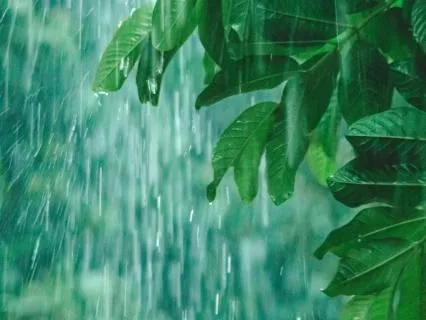 Rain & Thunder Sound Therapy - Relaxing 10 Minutes