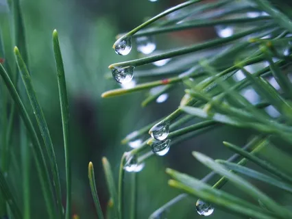 Rain To Rest: 60 Minutes Of Soothing Sleep Sounds