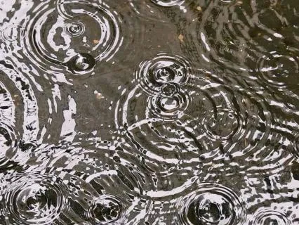 Rain Water Subliminal For Success | 4m
